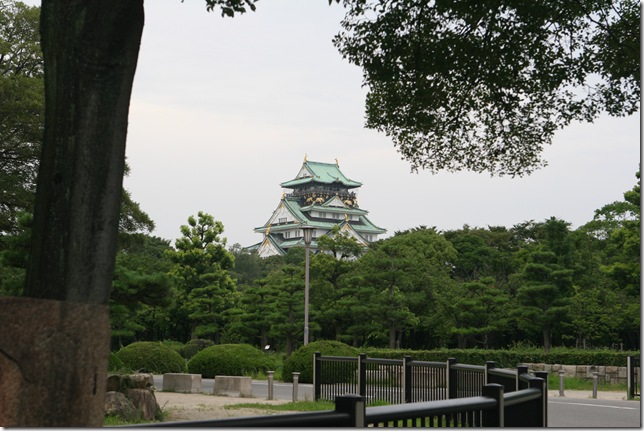 IMG_9240 IMG_9240