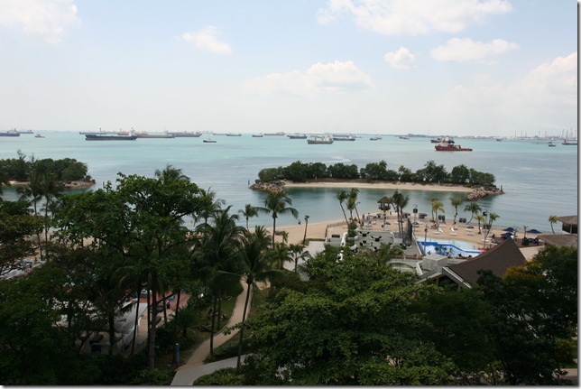 IMG_2566 IMG_2566