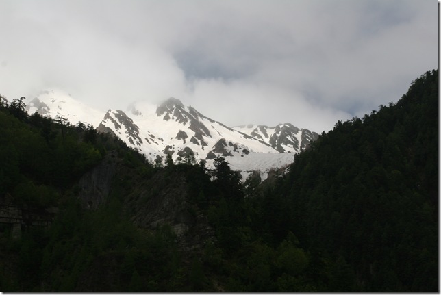 IMG_7479 IMG_7479