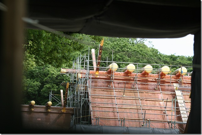 IMG_8873 IMG_8873