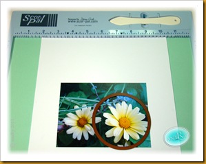 2 Die cut Flower Photo