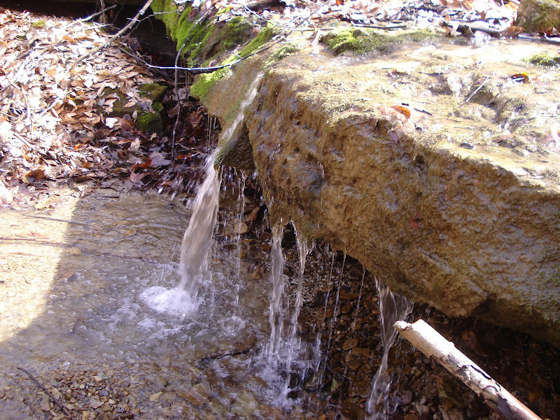 DSC04428.JPG