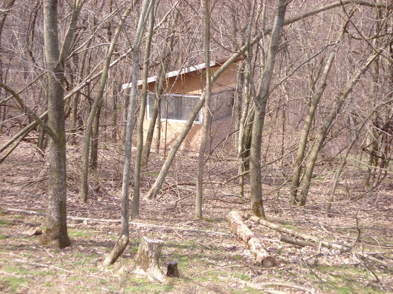 DSC04417.JPG