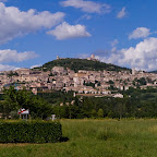 Assisi
