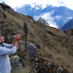 Quechua ceremony in the Andes