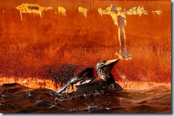oil_spill_fire_c_01