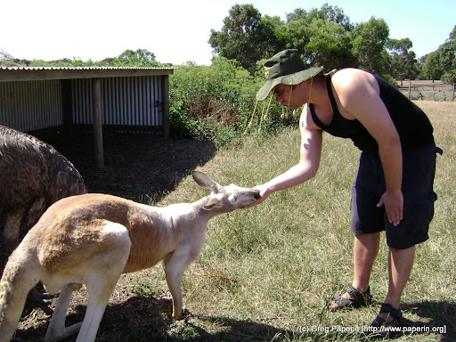 Phillip Island Petting Zoo