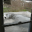Still pooling here, too! (this is roof above 2nd floor bathroom)