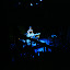 My camera batteries died. Now you have to deal with poor cell phone quality shots of Amanda on stage.