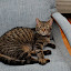 DSC_0087.JPG