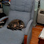 DSC_0089.JPG