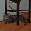 DSC_0054.JPG