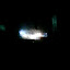 Cellphone quality...