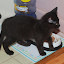 DSC_0897.JPG