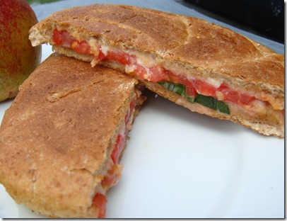 Tomatoe Panini closeup