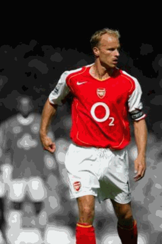 [bergkamp[5].gif]