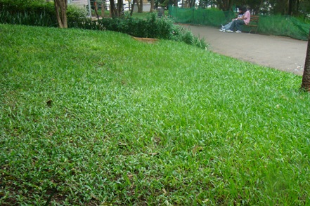 [DSC07751[3].jpg]