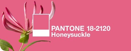 [pantone4.jpg]