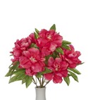 silk peony