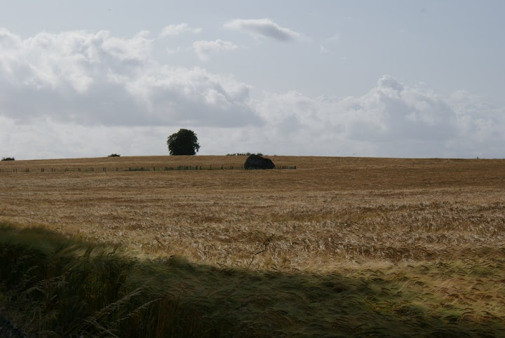 DSC01255.JPG