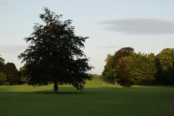 DSC01280.JPG