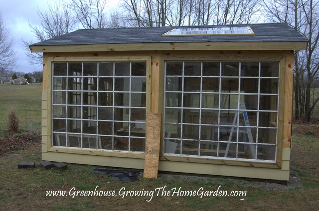 [Greenhouse Shed Side with Large Picture Windows 1-2010-1[5].jpg]