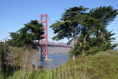 [SF_GGB 172[3].jpg]