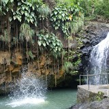 grenada attractions  Annandale Waterfalls Pictures