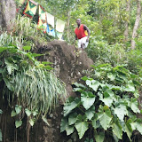 grenada attractions  Annandale Waterfalls Pictures