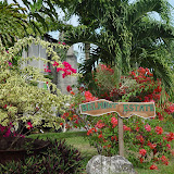  &ndash; 28-Aug-2009