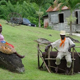grenada attractions  Grenadas Belmont Estate in Pictures