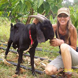 grenada attractions  Grenadas Belmont Estate in Pictures