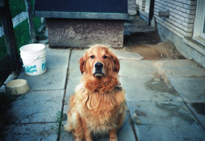 chloe