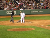 boston (455)