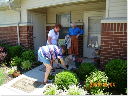 planting begonias for Ms. Trudy