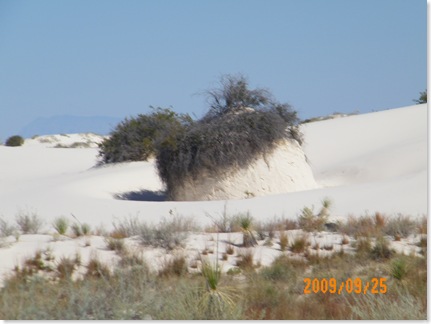 White Sands National Monument