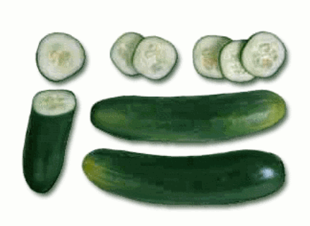 cucumbers 4