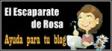 escaparate de Rosa escaparate de Rosa