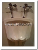 toilet-gay