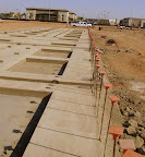 P8280006-1.JPG