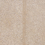 P3130025-1.JPG
