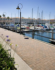 San Pedro Marina - Serpentine - B2 -5.jpg