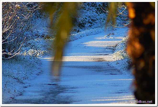 Agroturismo nevado 2010