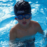 Beavers Swimming