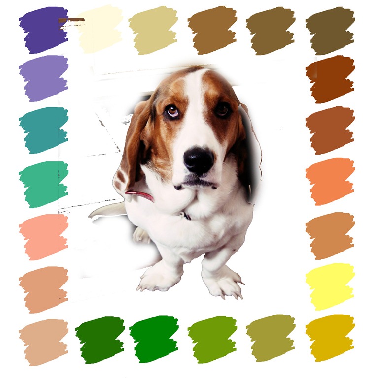 [lucyscolors[4].jpg]