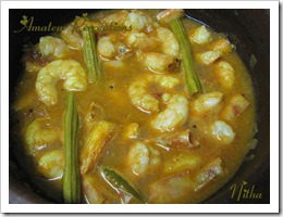 Prawns in Coconut Gravy 6