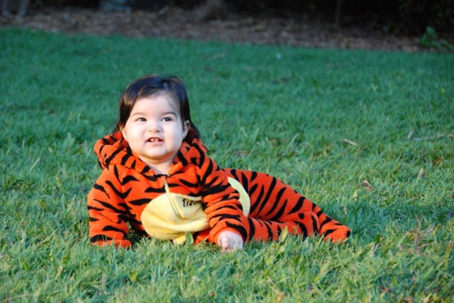 [DSC_0047_Small[8].jpg]