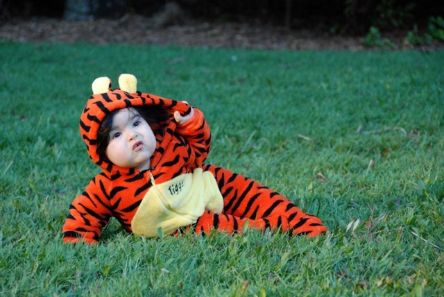 [DSC_0055_Small[5].jpg]
