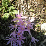 DSCN5892.JPG