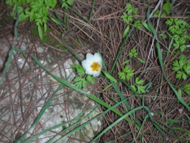 DSCN5947.JPG